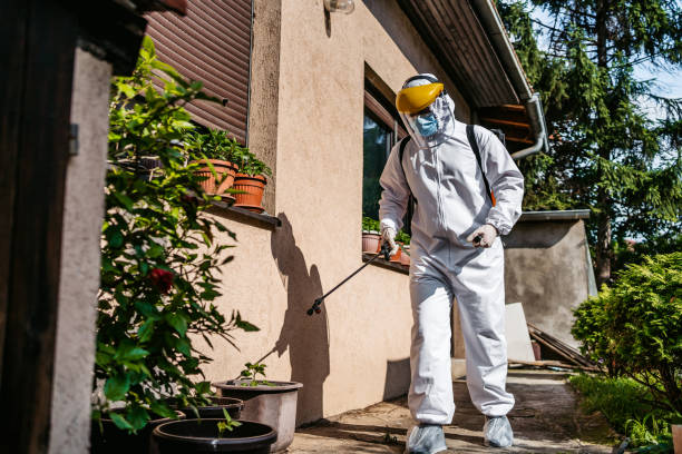 Best Residential Pest Control  in Ferdand, IN