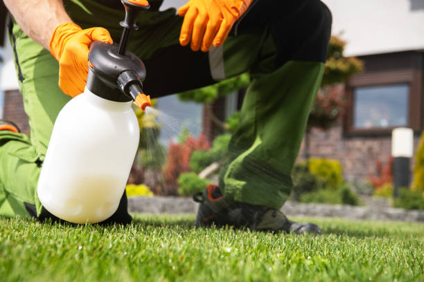 Best Emergency Pest Control  in Ferdand, IN