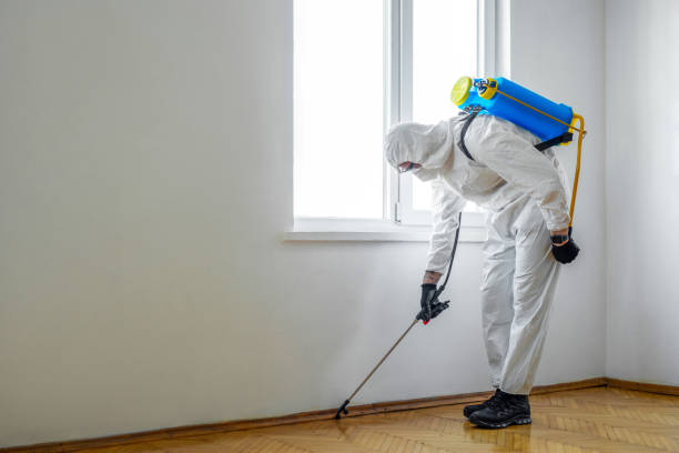 Best Rat Extermination Near Me  in Ferdand, IN