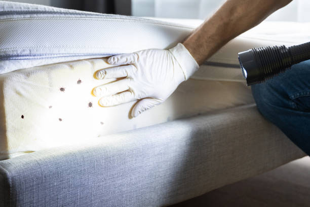 Best Pest Control Near Me  in Ferdand, IN