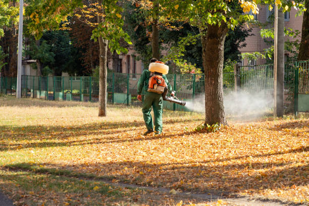 Best Exterminator Services  in Ferdand, IN