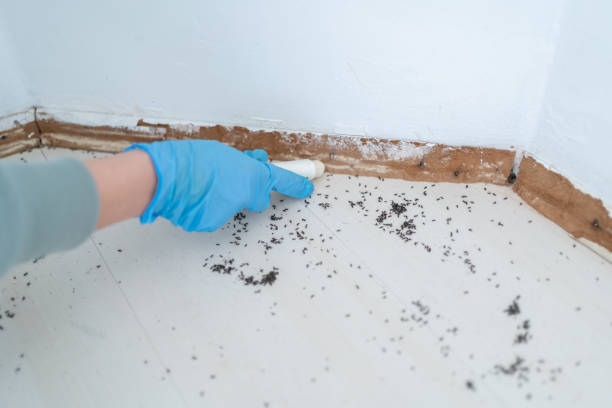 Best Best Pest Control Companies  in Ferdand, IN